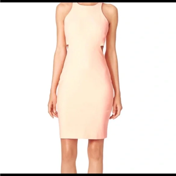 elizabeth and james cut out dress Elizabeth and James | Dresses | Elizabeth And James Blush Orley Open Back Formal Maxi Cut Out Dress Size 4